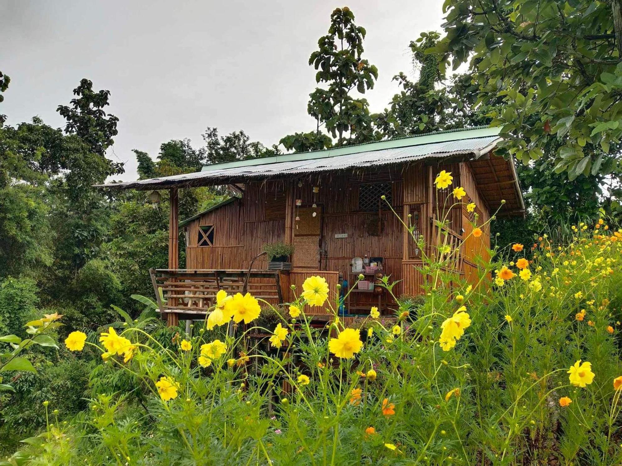 Baan 2 Dao Farmstay Chiang Dao Bagian luar foto